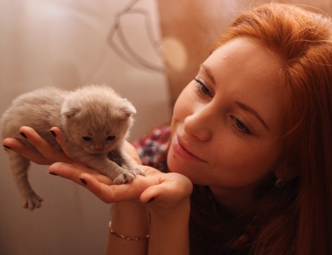 Подари дом! Во Всемирный день бездомных животных посетители сайта marimedia.ru рассказали о своих питомцах