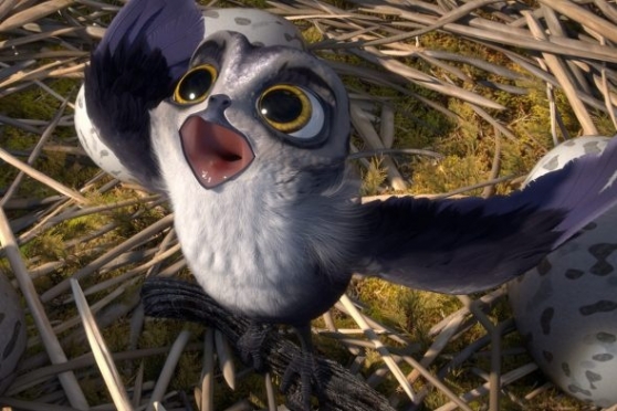 Птичий дозор