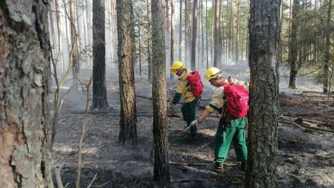 В лесах Марий Эл установлен 3 класс опасности возникновения пожаров
