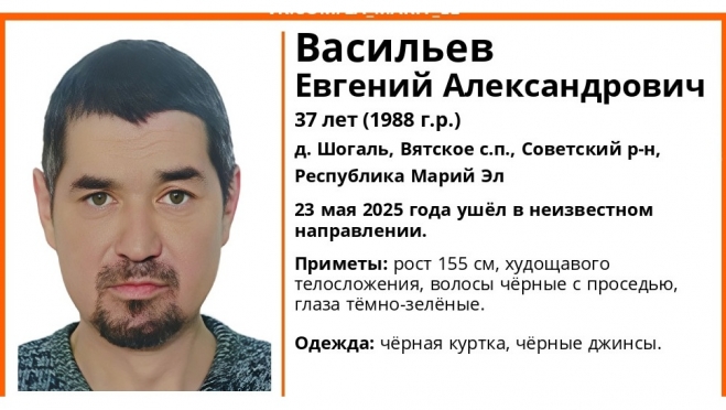 В Советском районе ищут 37-летнего Евгения Васильева