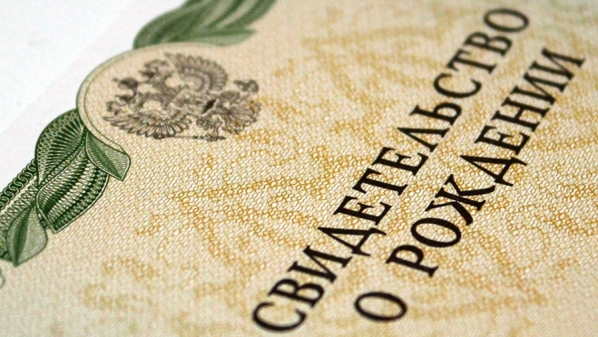 Минэкономразвития РФ разрабатывает автоматическую систему регистрации рождений и смертей