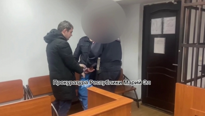 В Йошкар-Оле осудили молодого человека за жестокое избиение дяди