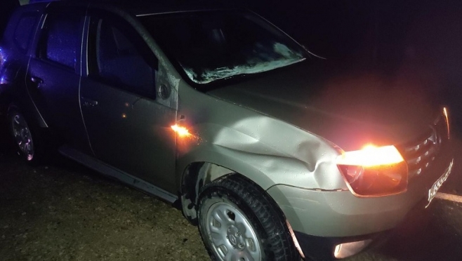 В ДТП в Медведевском районе пострадал пенсионер