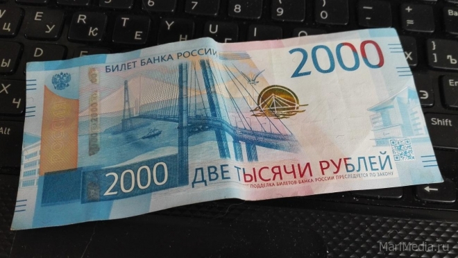 Дистанционный аферист вымогал у йошкаролинки деньги