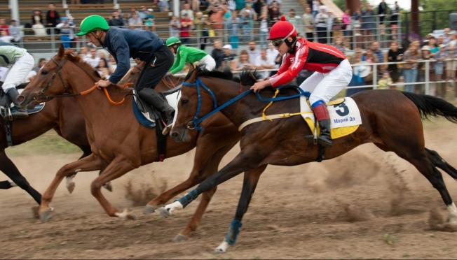 Конкур, конкурс шляпок и ярмарка – в субботу в Руэме пройдут скачки