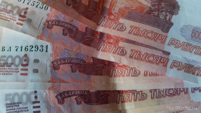 Долг йошкаролинцев за услуги ЖКХ составил 461 млн рублей