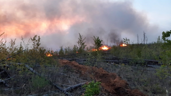 В Медведевском районе запрещено посещение лесов