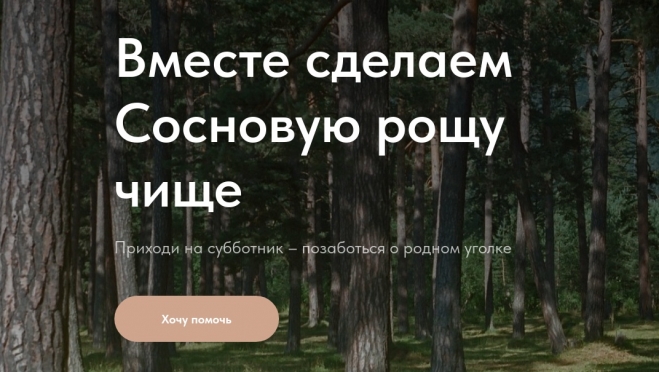 Жителей Йошкар-Олы приглашают в Сосновую рощу на субботник