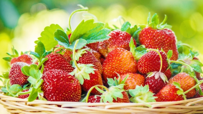 Йошкаролинец потерял 20 тысяч рублей, желая купить 100 кг клубники