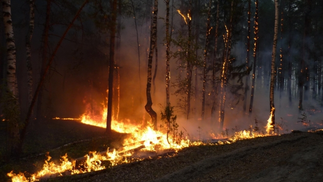 Грозы стали причинами четырёх лесных пожаров в Марий Эл
