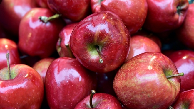 В России планируют возобновить производство  кальвадоса