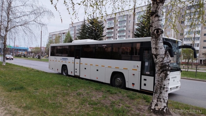 Со следующей недели в Йошкар-Оле автобусы перестанут ходить в садовые товарищества