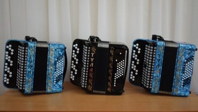 Для четырёх ДШИ в Марий Эл закупят новые музыкальные инструменты