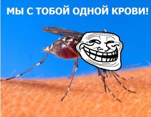 Как эффективно бороться с комарами в квартире