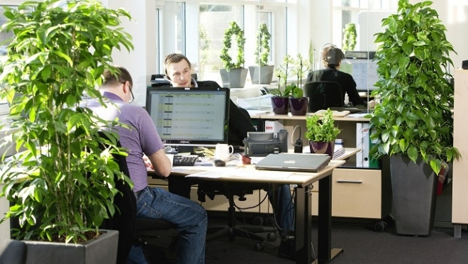 Озеленение офисов как фактор роста эффективности сотрудников