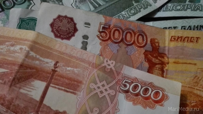 В Марий Эл нарушители земельного законодательства оштрафованы на 2 млн рублей