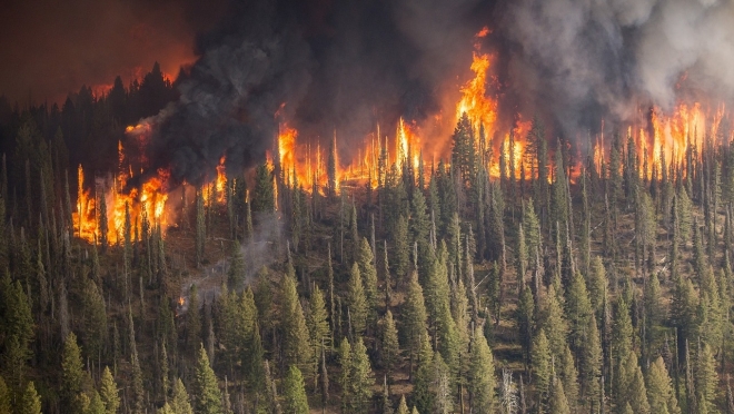 В лесах Марий Эл сохраняется высокая пожароопасность лесов