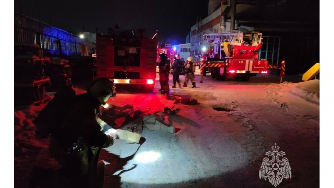 За неделю в Марий Эл произошло 14 пожаров, есть погибший