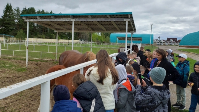 Юным спортсменам Белгородской области показали «чудо-коней» Йошкар-Олы