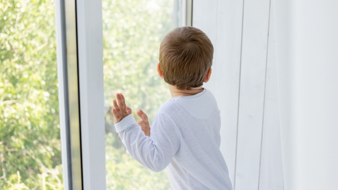 Аллергия в городе: мариэльцы массово ищут мастеров для установки специальных сеток на окна