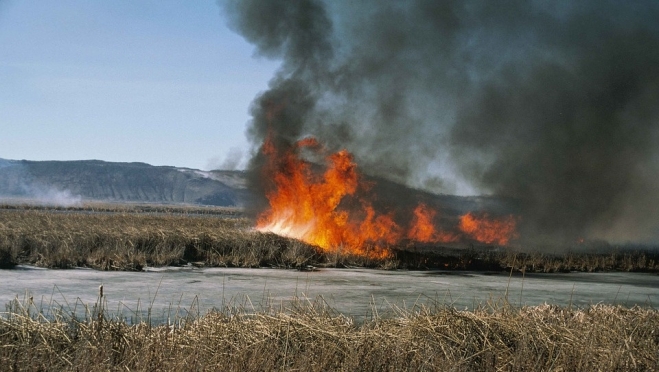 Пожарные Марий Эл за неделю выезжали на тушение загоревшейся травы 169 раз