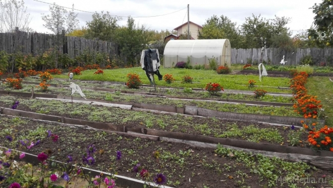 Дачную амнистию могут продлить до 2022 года