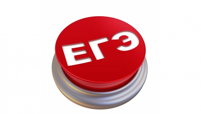 Выпускники Марий Эл результаты ЕГЭ могут узнать на портале Госуслуг