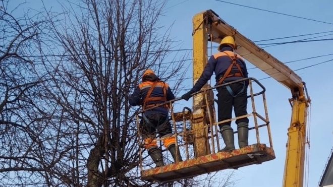 В Йошкар-Оле началась весенняя обрезка деревьев