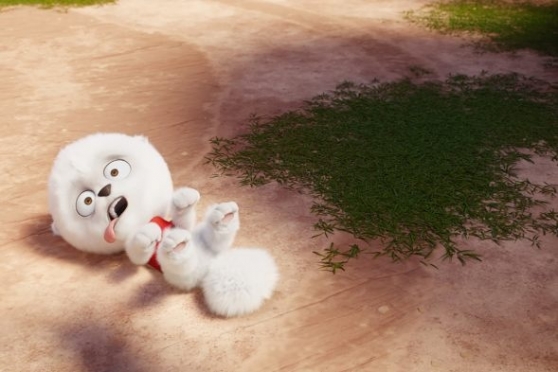 Пончары. Глобальное закругление