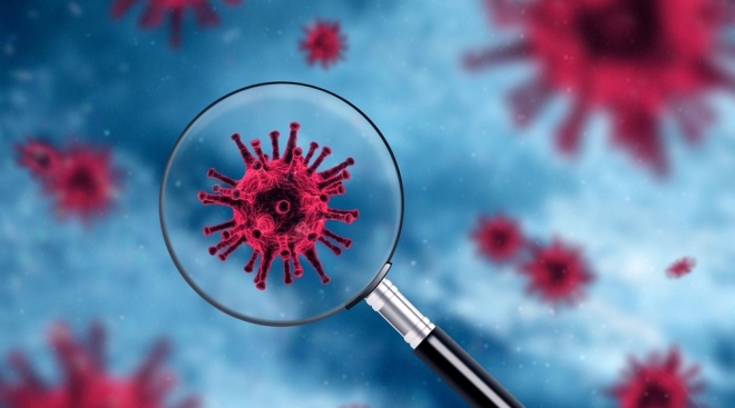 В Марий Эл выявлено 59 новых случаев заражения коронавирусом