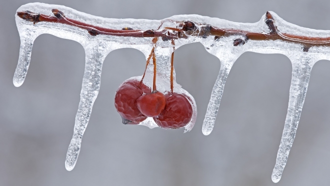 Синоптики Марий Эл предупредили о ледяном дожде, гололёде и налипании снега