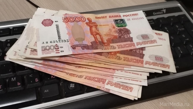 В Марий Эл за месяц задолженность по зарплате сократилась на 3,7 млн рублей