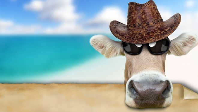 В Марий Эл сельская чиновница пойдёт под суд за взятку