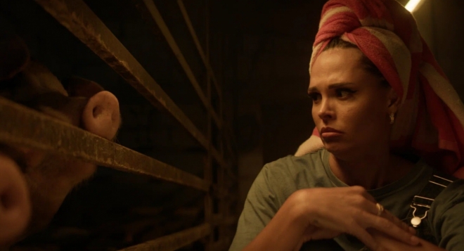 Постучись в мою Тверь