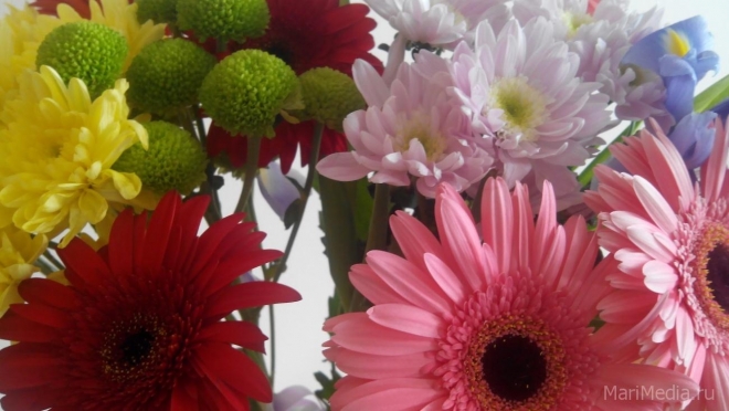 Букет первоклассника – яркий и компактный