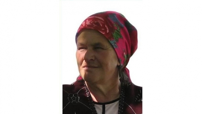 В посёлке Нартас Марий-Турекского района на прошлой неделе пропала пенсионерка