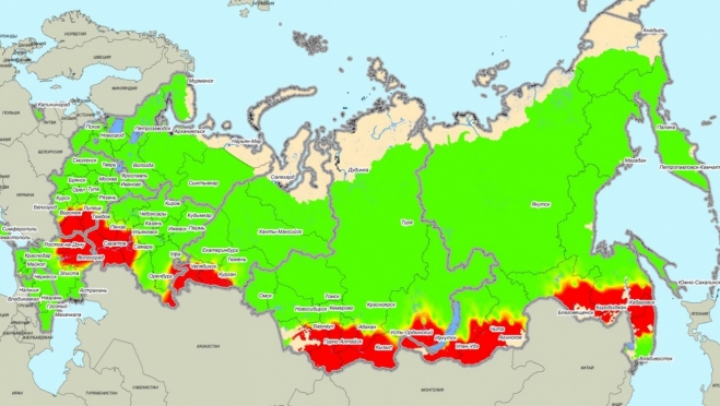Авиалесоохрана не прогнозирует сильных лесных пожаров в Марий Эл