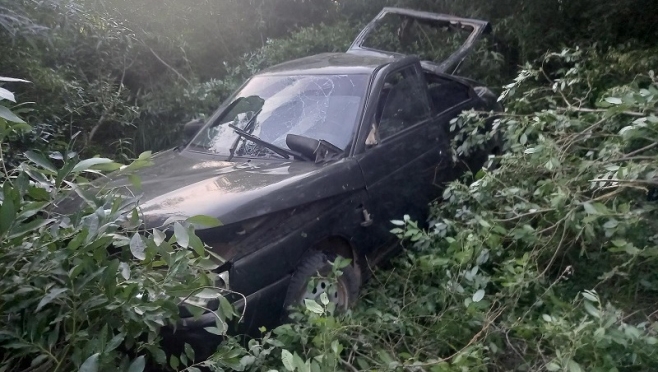 В Мари-Турекском районе пьяный водитель перевернулся в кювет
