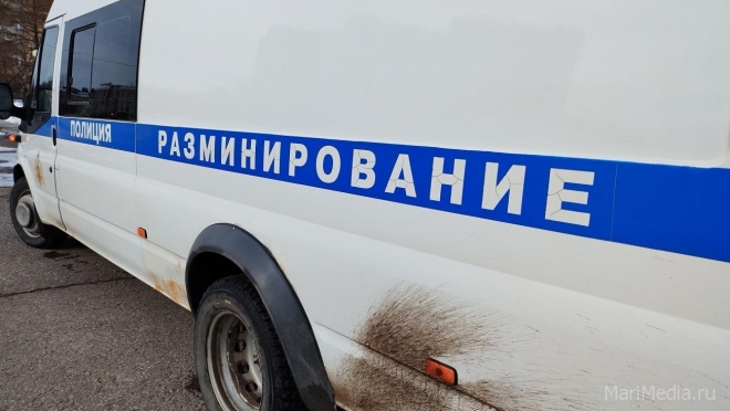 В Медведевской гимназии эвакуировали школьников