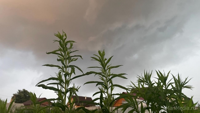 В Марий Эл сегодня ожидаются грозы, сильный ветер и град