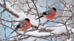 не бывает разлюбил кто поет оригинал. девушка без любви. сташевский влад финал суперстар. муж разлюбил цитаты. диана крюгер и квентин тарантино фотосессия.