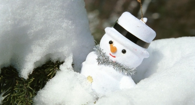 Вьюговей-2014