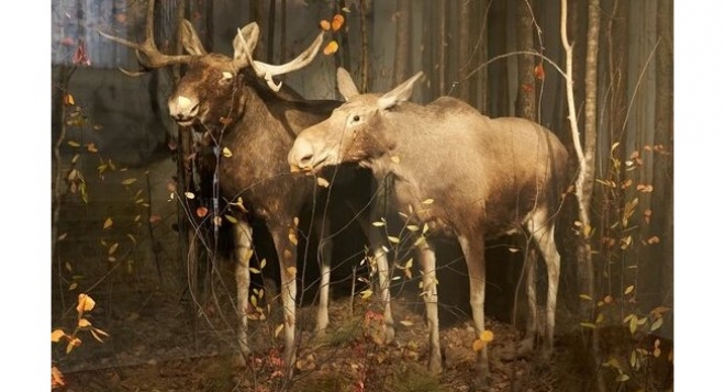 Тот самый музей