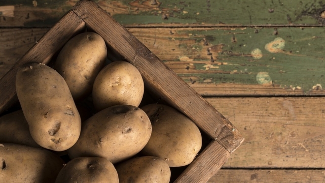 Горномарийский район первым приступил к посадке картофеля