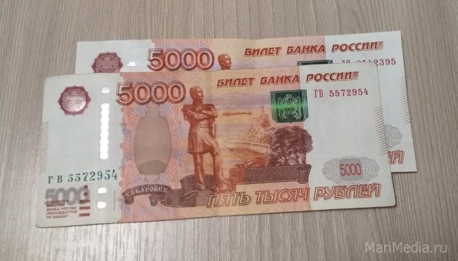 Жители Марий Эл, у которых до 31 марта родятся дети, могут получить 5 тысяч рублей
