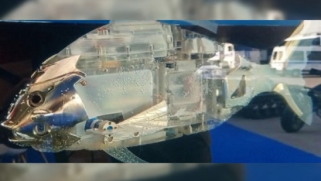 Учёные Самары создали подводного робота-эколога