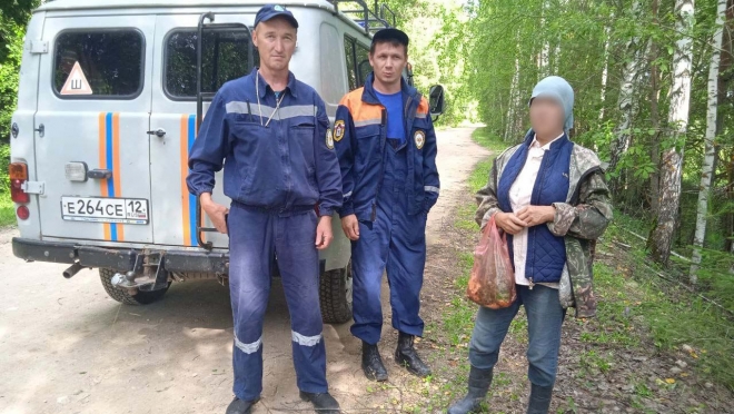 В Звениговском районе собака вернулась домой, оставив хозяйку в лесу