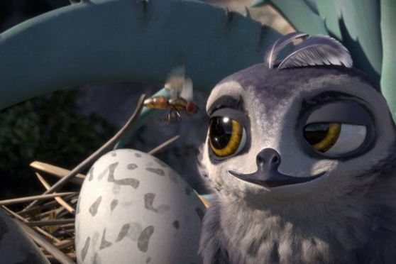 Птичий дозор