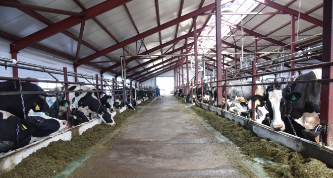 Президент РФ отметил высокой наградой работницу колхоза «Первое Мая» в Марий Эл