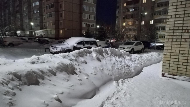 В прямой эфир ЦУР Марий Эл пригласили Эльвиру Гамерову